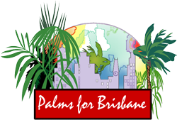 Palms For Brisbane