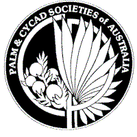 The Palm and Cycad Societies of Australia (PACSOA)
